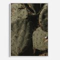 Obraz w ramie 70x100 - Urok Egzotyki - kaktusy, boho - rama biała