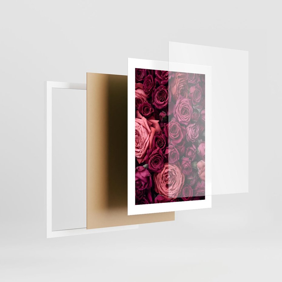 Plakat w ramie 30x40 - Róże - piękno kwiatów - róże, kwiaty - rama biała
