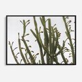 Obraz w ramie 70x50 - Ekskluzywna Roślinność - kaktusy, liście - rama czarna