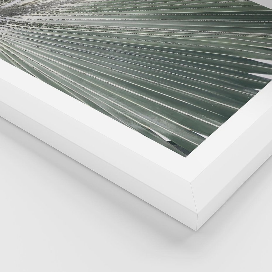 Plakat w ramie 50x70 - Jasnozielony Świat - palma, liść - rama biała