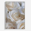 Obraz w ramie 70x100 - Białe róże piękności - białe, róże - rama biała