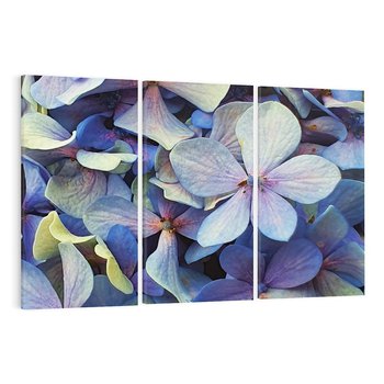 Obraz na płótnie 120x80 - Hortensja - delikatność kwiatów - hortensja, kwiaty