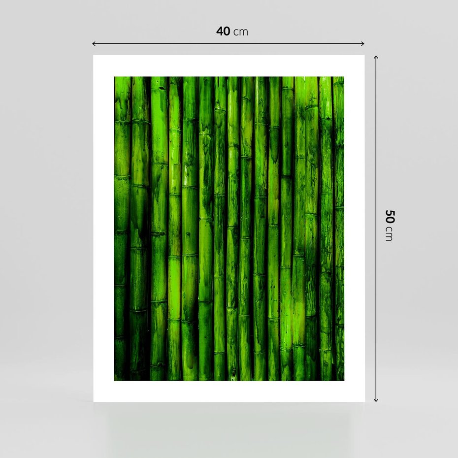 Plakat bez ramy 40x50 - Bambusowy urok zielonej harmonii - bambus, zieleń