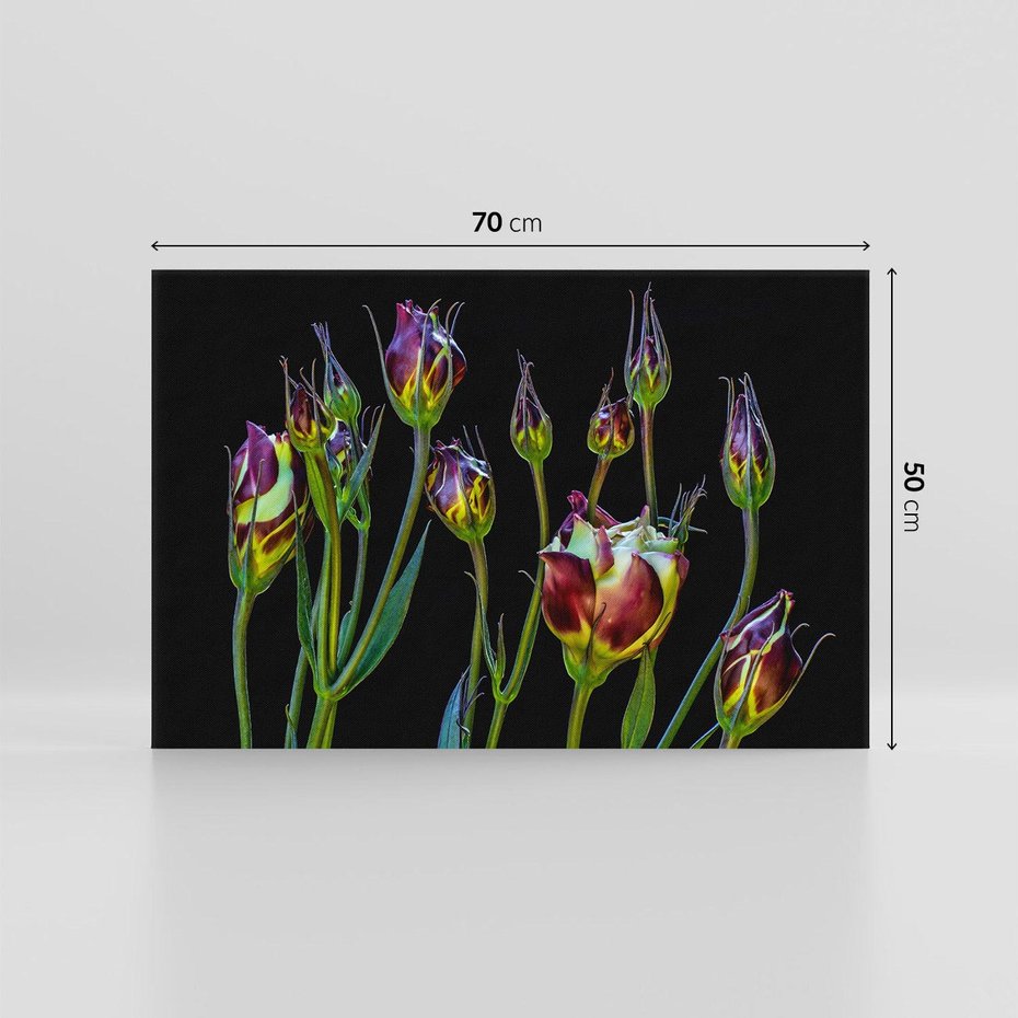 Obraz na płótnie 70x50 - urok kwiatów - kwiat, kwiaty