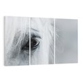 Obraz na płótnie 120x80 - Oko Mocy - czarno białe zdjęcie, zbliżenie makro na oko konia