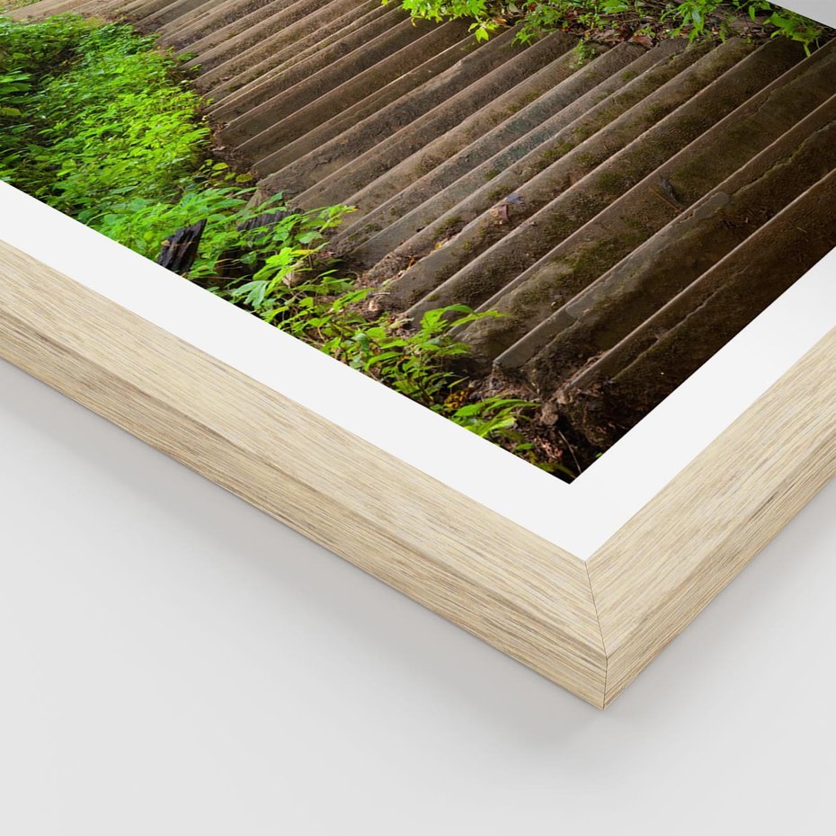 Plakat w ramie 30x40 - Magia Leśnej Ścieżki - ścieżka, w lesie - rama drewno