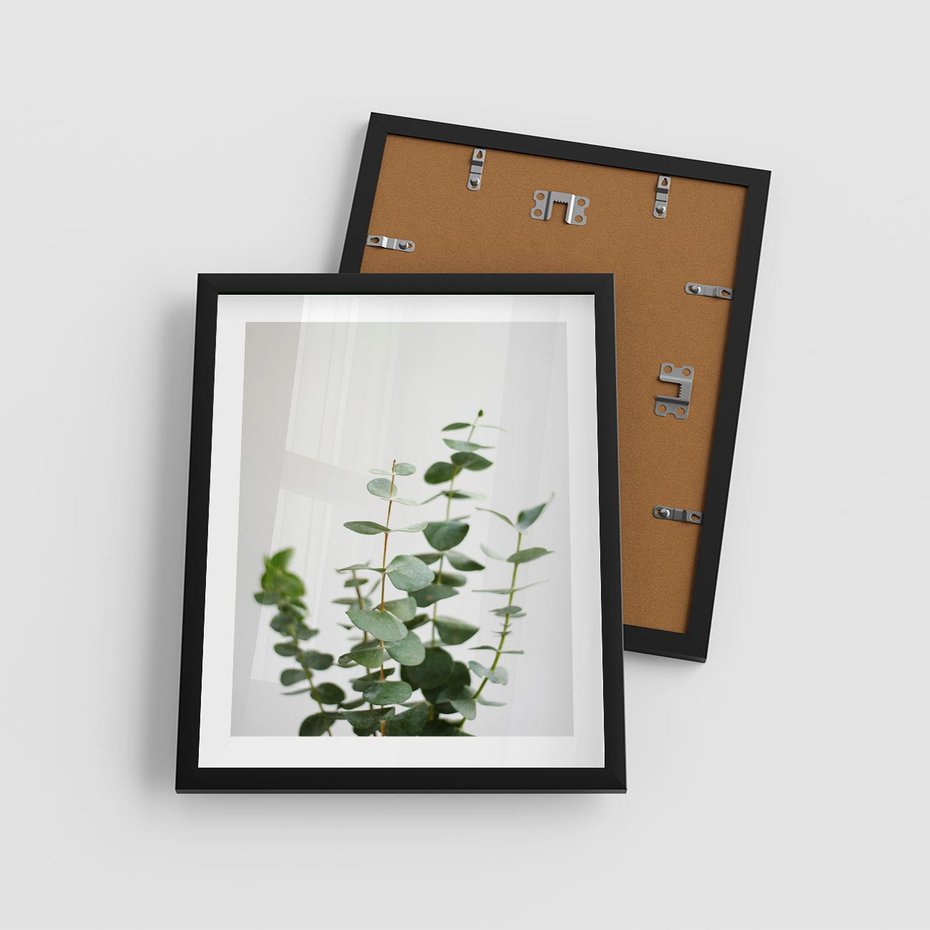 Plakat w ramie 40x50 - Żywa eukaliptusowa zieleń - eukaliptus, zielone - rama czarna