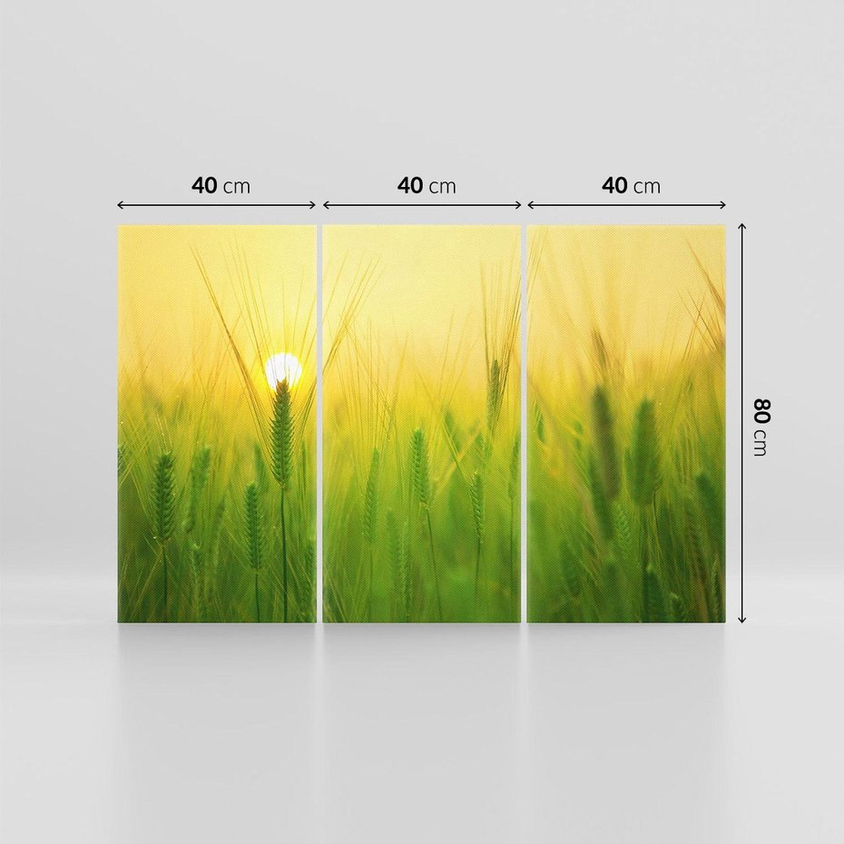 Obraz na płótnie 120x80 - Zboże w kłosach: Oda do plonów natury - zboże, kłos