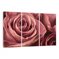 Obraz na płótnie 120x80 - Romantyczna Róż - róża, kwiat