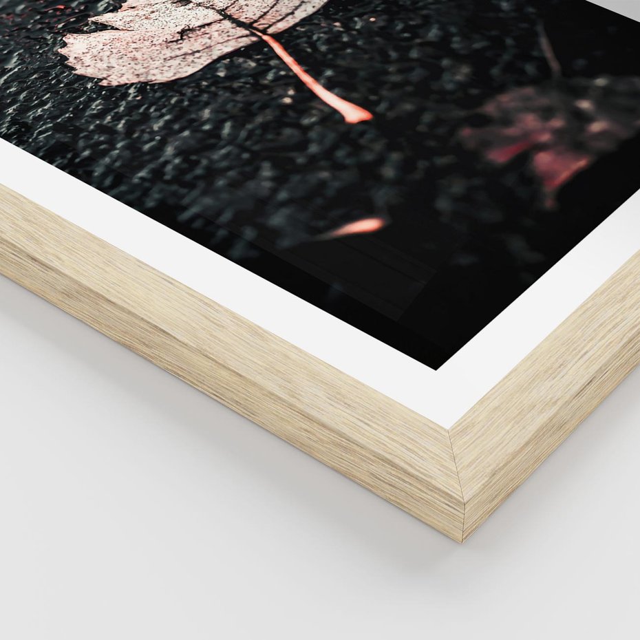 Plakat w ramie 40x50 - Jesień w Detalu: Liść na Mokrej Drodze - liść, jesień - rama drewno