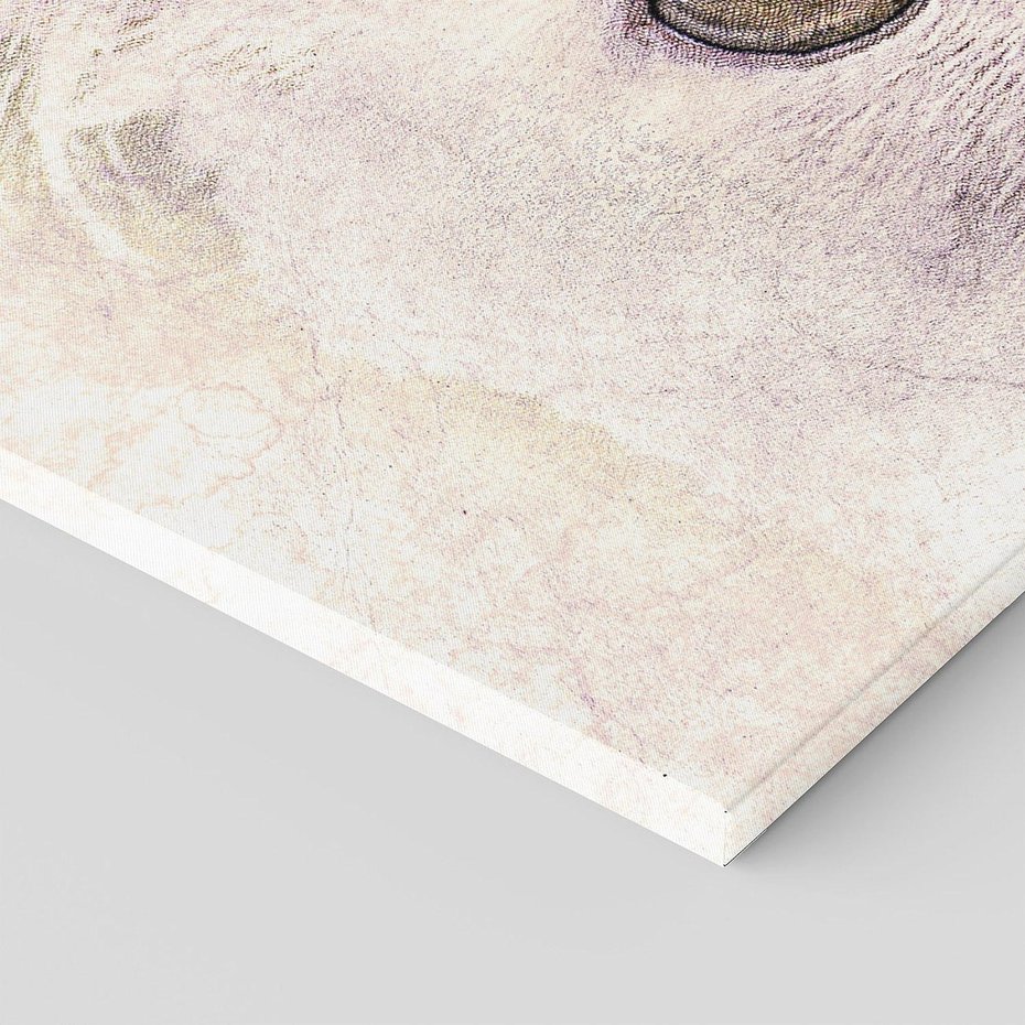 Obraz na płótnie 100x50 - Kot w abstrakcyjnym świetle - kot, abstrakcja