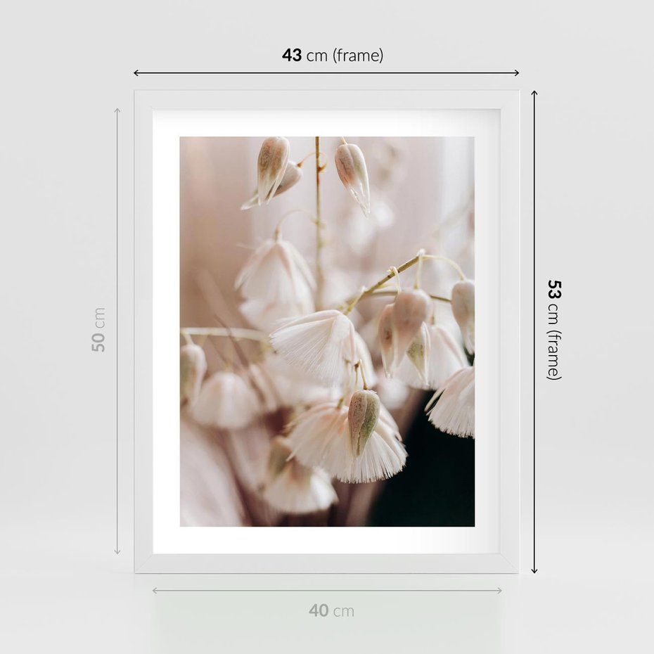 Plakat w ramie 40x50 - Suszona Delikatność - suszone kwiaty, rośliny - rama biała