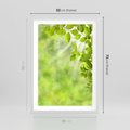 Plakat w ramie 50x70 - Zielone liście natury - liści, zieleń - rama biała