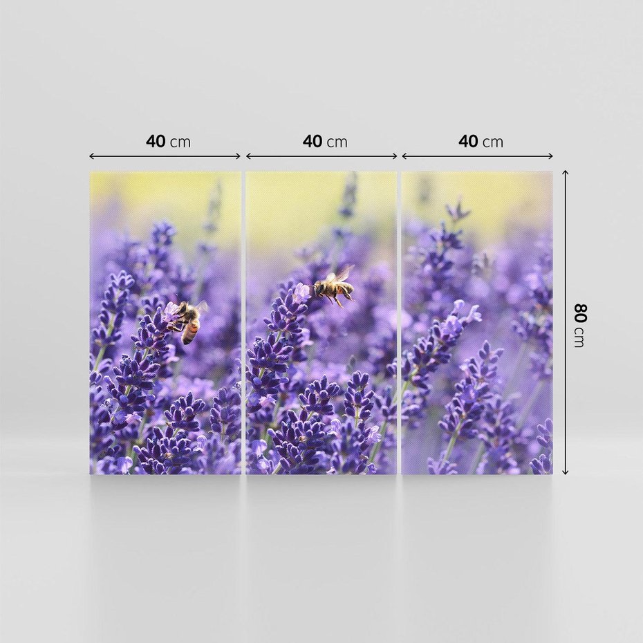 Obraz na płótnie 120x80 - Magia lawendy delikatne kwiaty - lawenda, kwiat