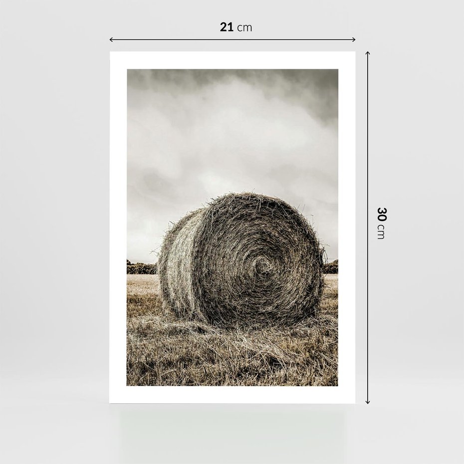 Plakat bez ramy 21x30 - Siano w Sepii: Wiejska Tradycja - snopek siana, bela siana