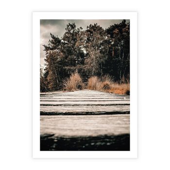Plakat bez ramy 30x40 - Fotografia w Ciepłych Barwach - odcienie brązu, fotografia