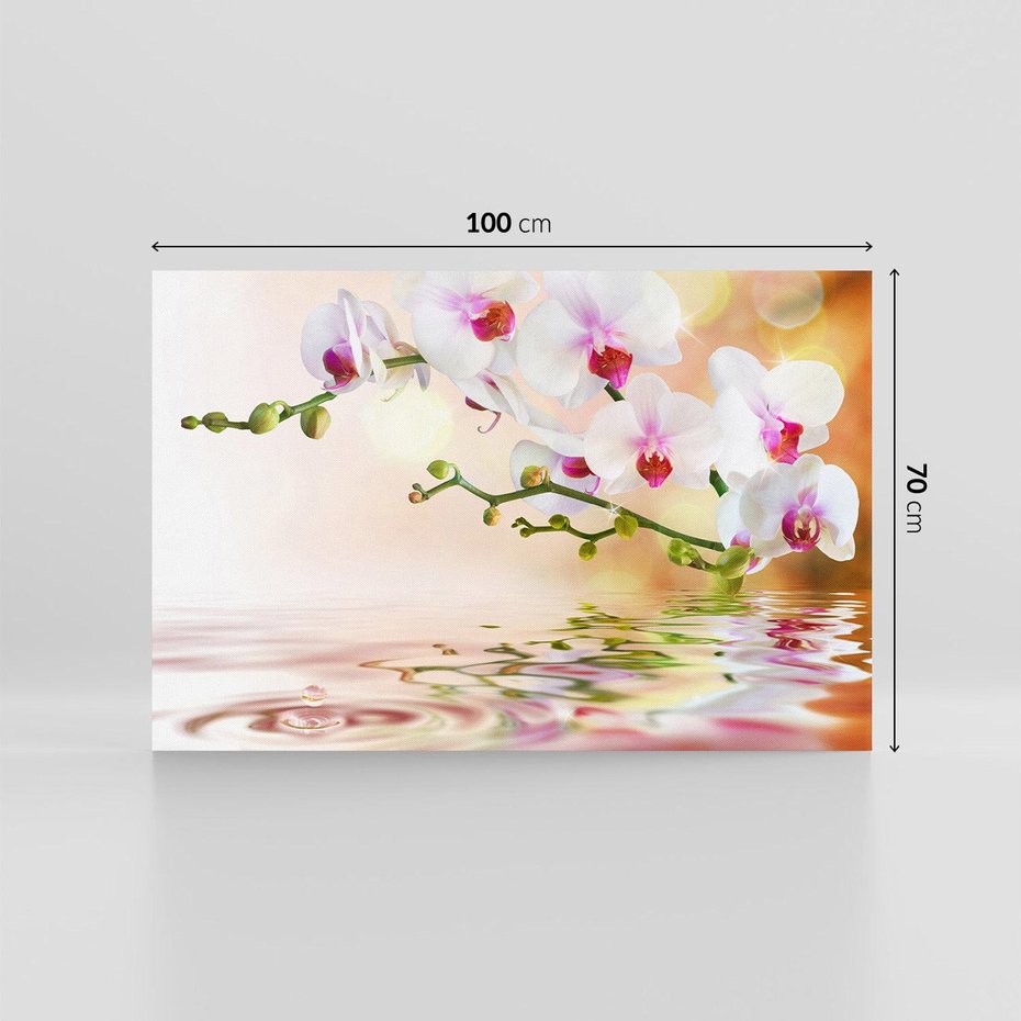 Obraz na płótnie 100x70 - Elegancja orchidei - orchidea, kwiaty