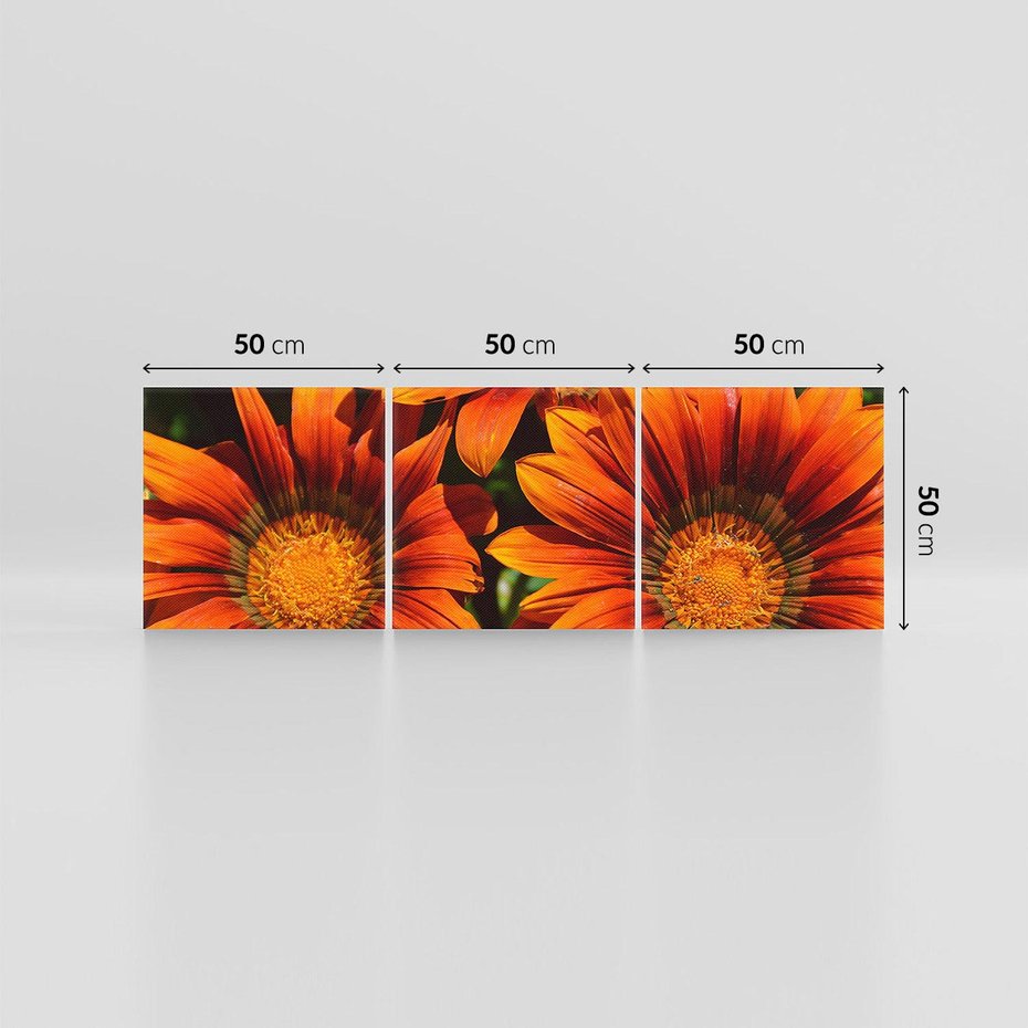 Obraz na płótnie 150x50 - Kwiatowa Esencja - kwiat, kwiaty