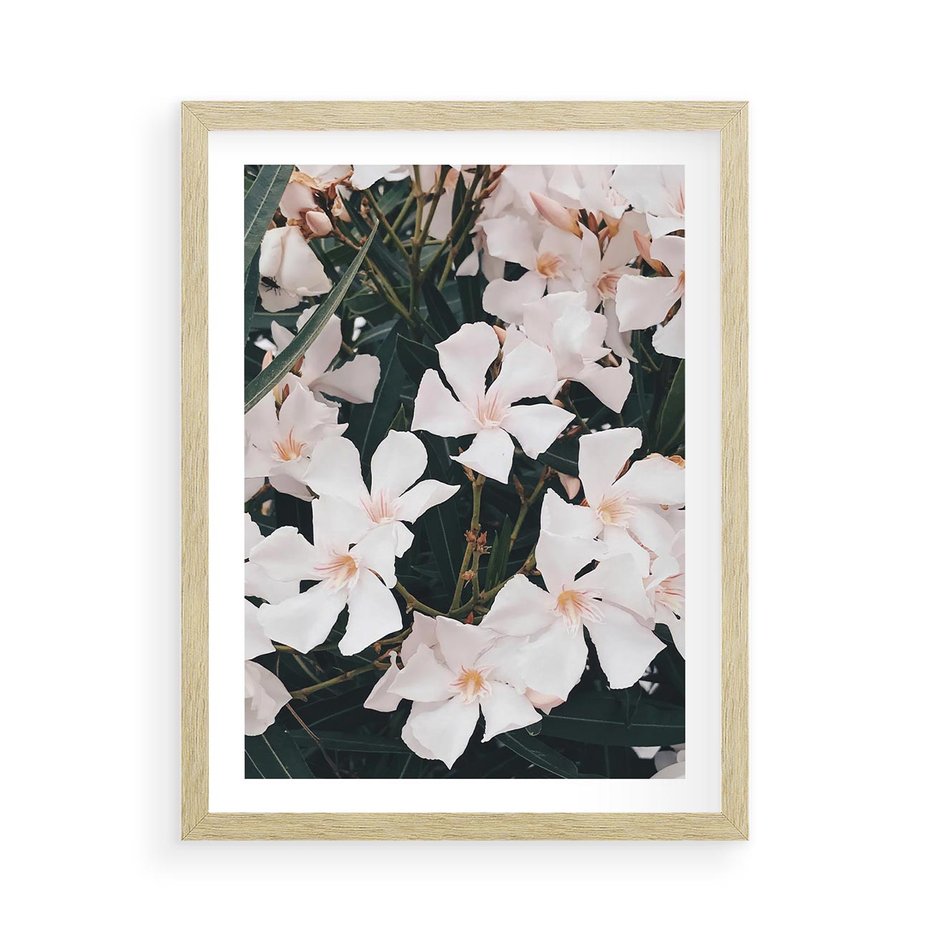 Plakat w ramie 50x70 - Egzotyczna Uroda - białe kwiaty, tropikalne kwiaty - rama drewno