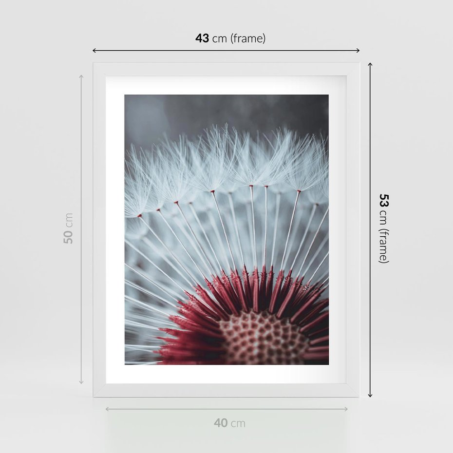 Plakat w ramie 40x50 - Dmuchawiec w Detalu - dmuchawiec, zdjęcie makro - rama biała