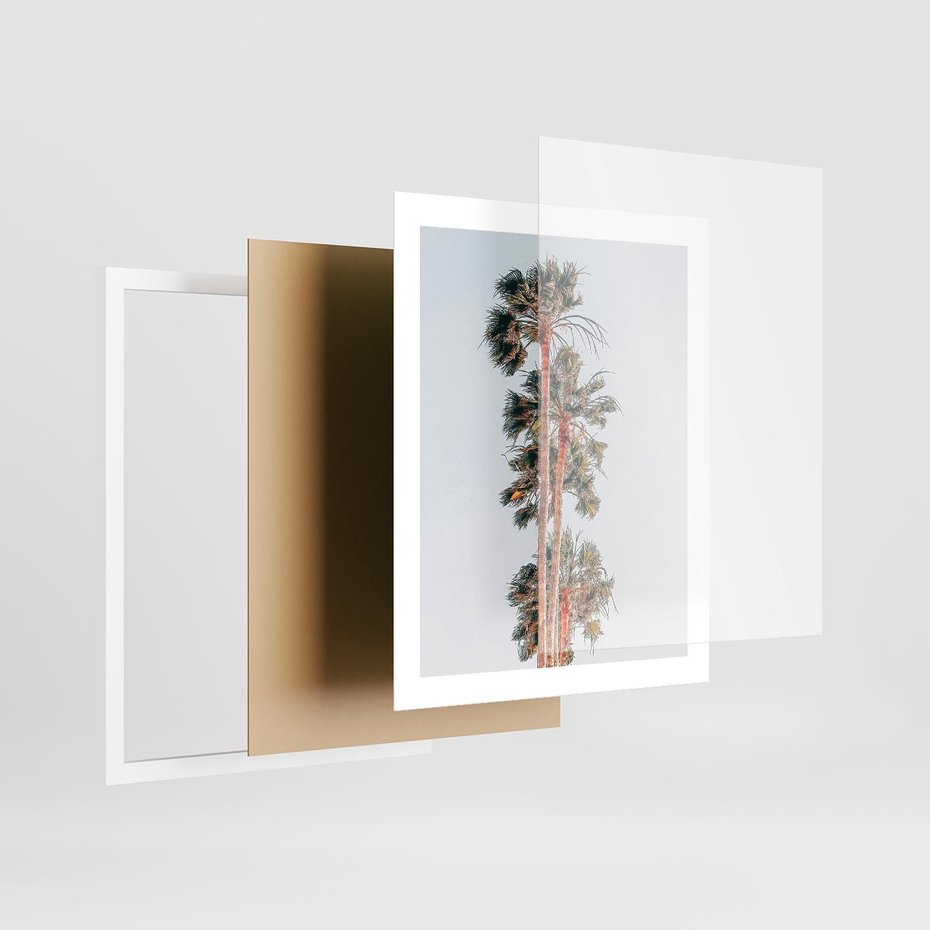 Plakat w ramie 40x50 - Kształty Palm - palmy, zdjęcie - rama biała