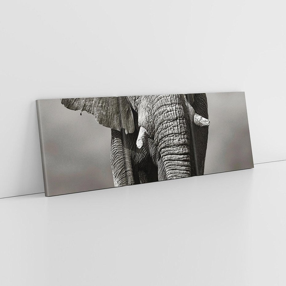 Obraz na płótnie 150x50 - Majestatyczny słoń Afryki - słoń, Afryka