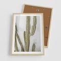 Plakat w ramie 50x70 - Kaktus w Stylu Boho - kaktus, roślina tropikalna - rama drewno