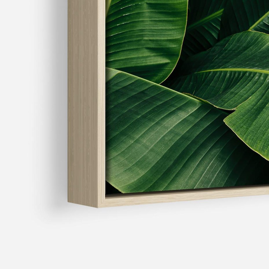 Obraz w ramie 80x80 - Zaklęta roślinna ekspresja - liście bananowca, gęsto ułożone - rama drewno