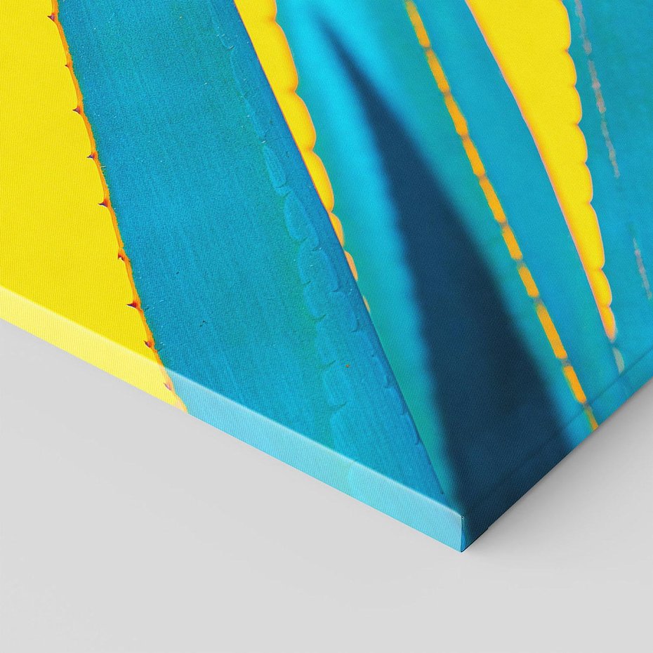 Obraz na płótnie 80x120 - Świeżość Natury - aloes, liście