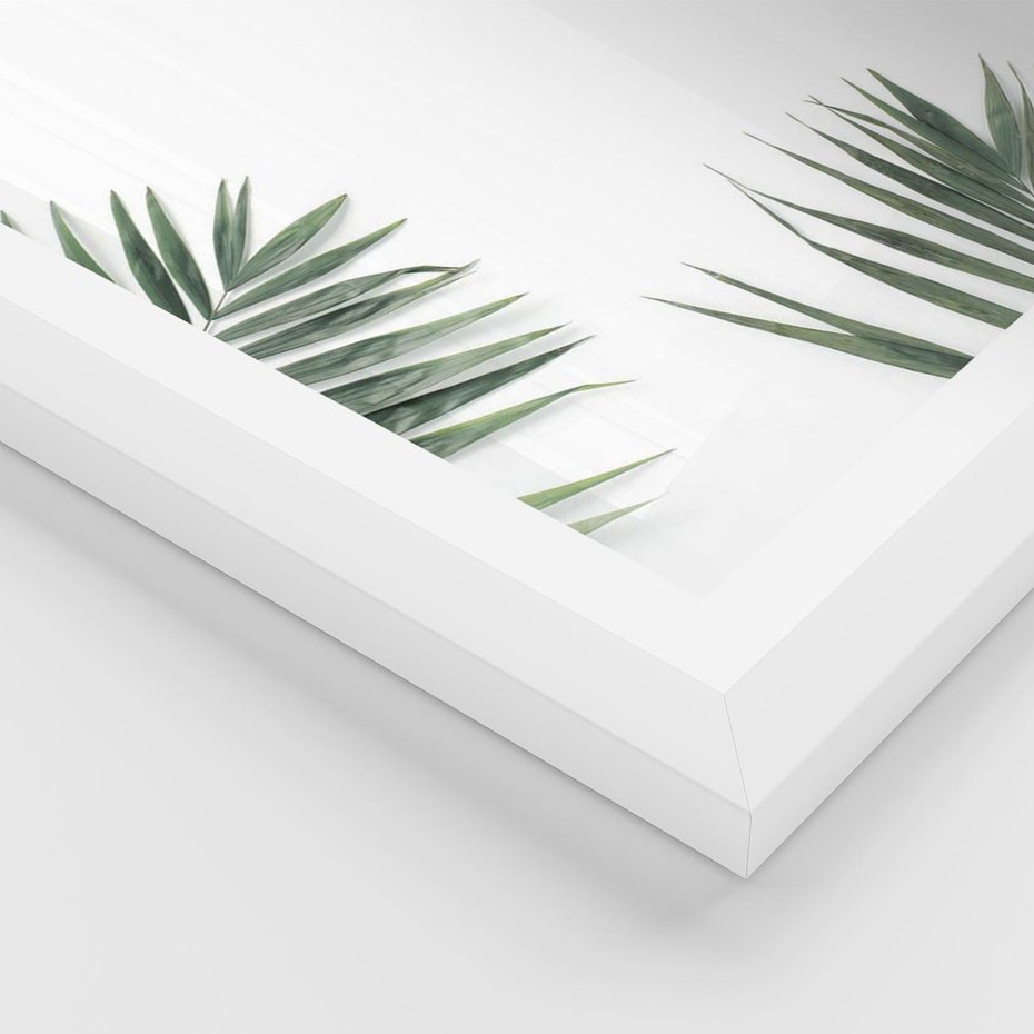 Plakat w ramie 40x50 - Liście Palmy na Czystym Tle - liście palmy, białe tło - rama biała