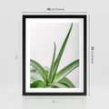 Plakat w ramie 40x50 - Zielone Piękno - aloes, liście - rama czarna