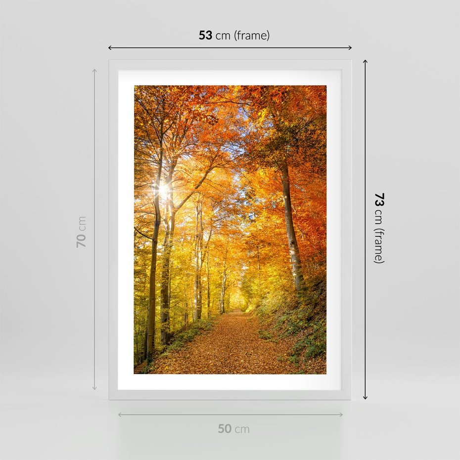 Plakat w ramie 50x70 - Złote barwy jesiennego lasu - las, jesień - rama biała