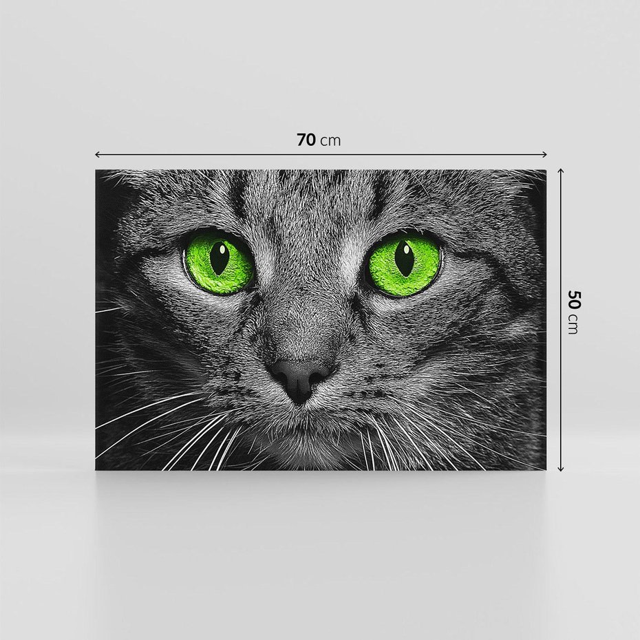 Obraz na płótnie 70x50 - Przestreń nautra doznania - kot, kotek