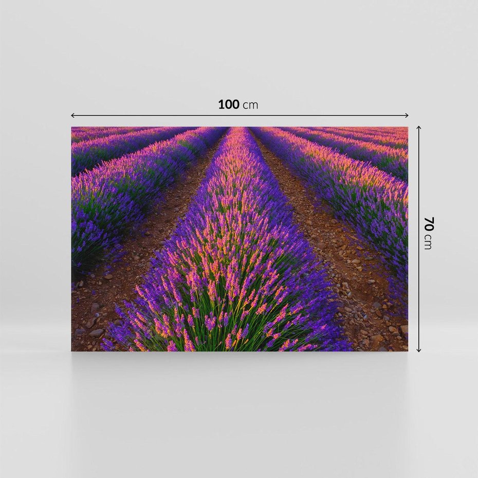 Obraz na płótnie 100x70 - Fioletowa Magia - pole, lawendy