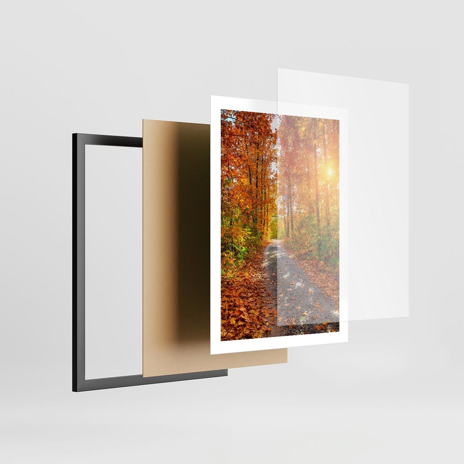Plakat w ramie 50x70 - Kolorowe drzewa na ścieżce jesieni - las, jesień - rama czarna