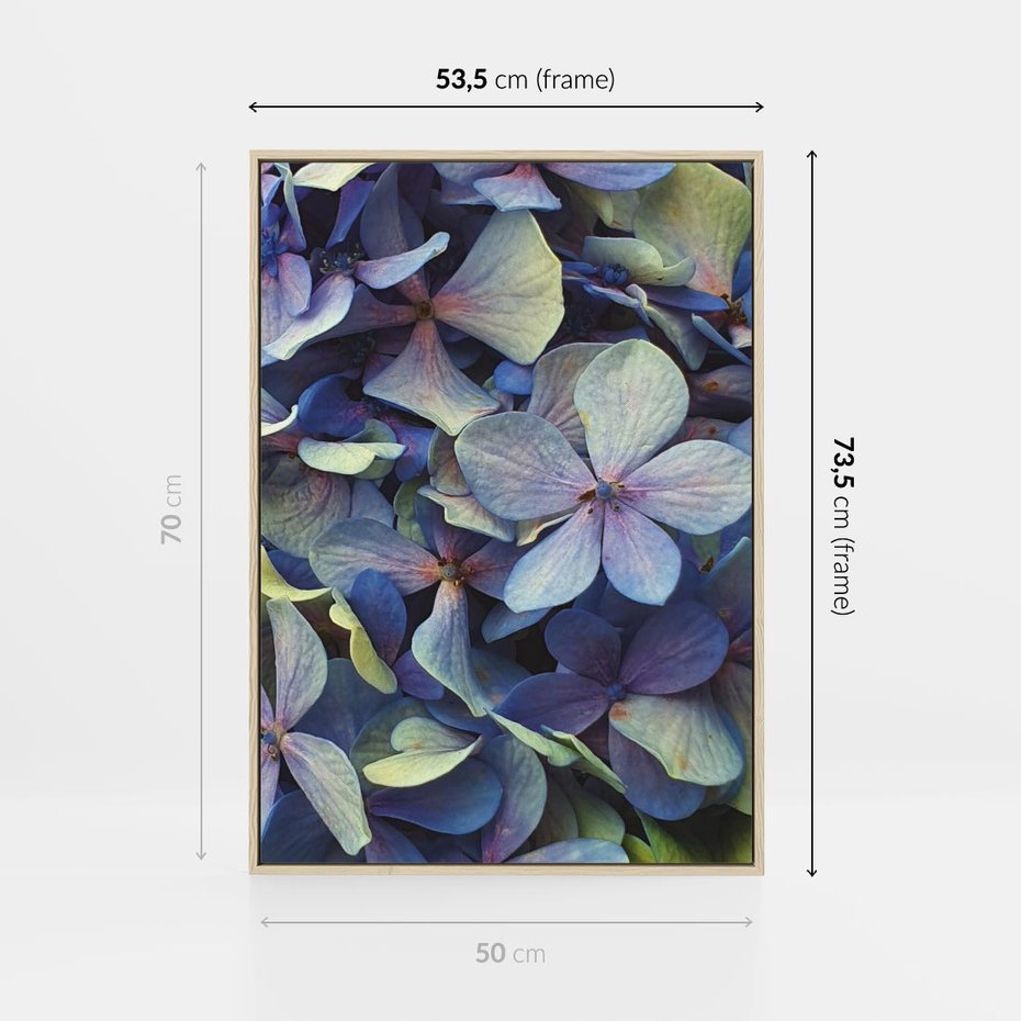 Obraz w ramie 50x70 - Hortensja - delikatność kwiatów - hortensja, kwiaty - rama drewno