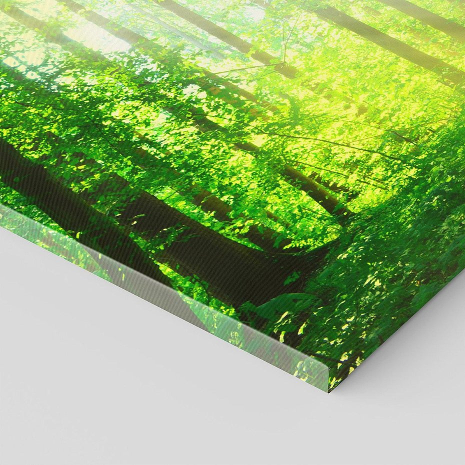 Obraz na płótnie 90x30 - Urok lasu na drodze - las, drzewa