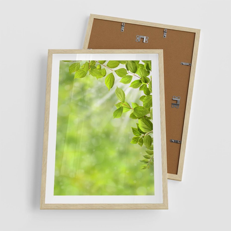 Plakat w ramie 50x70 - Zielone liście natury - liści, zieleń - rama drewno