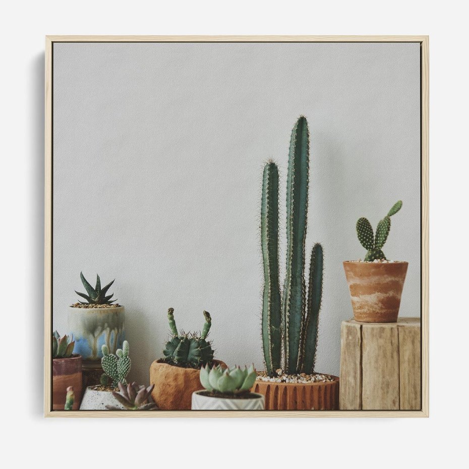 Obraz w ramie 80x80 - Naturalna Harmonia - kaktusy, liście - rama drewno