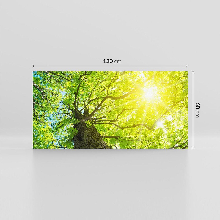 Obraz na płótnie 120x60 - Drzewo pod Słońcem: Łączność z Naturą - drzewo, słońce