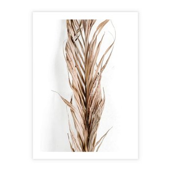 Plakat bez ramy 40x50 - Minimalizm Palmowy: Sucha Uroda - sucha palma, minimalizm