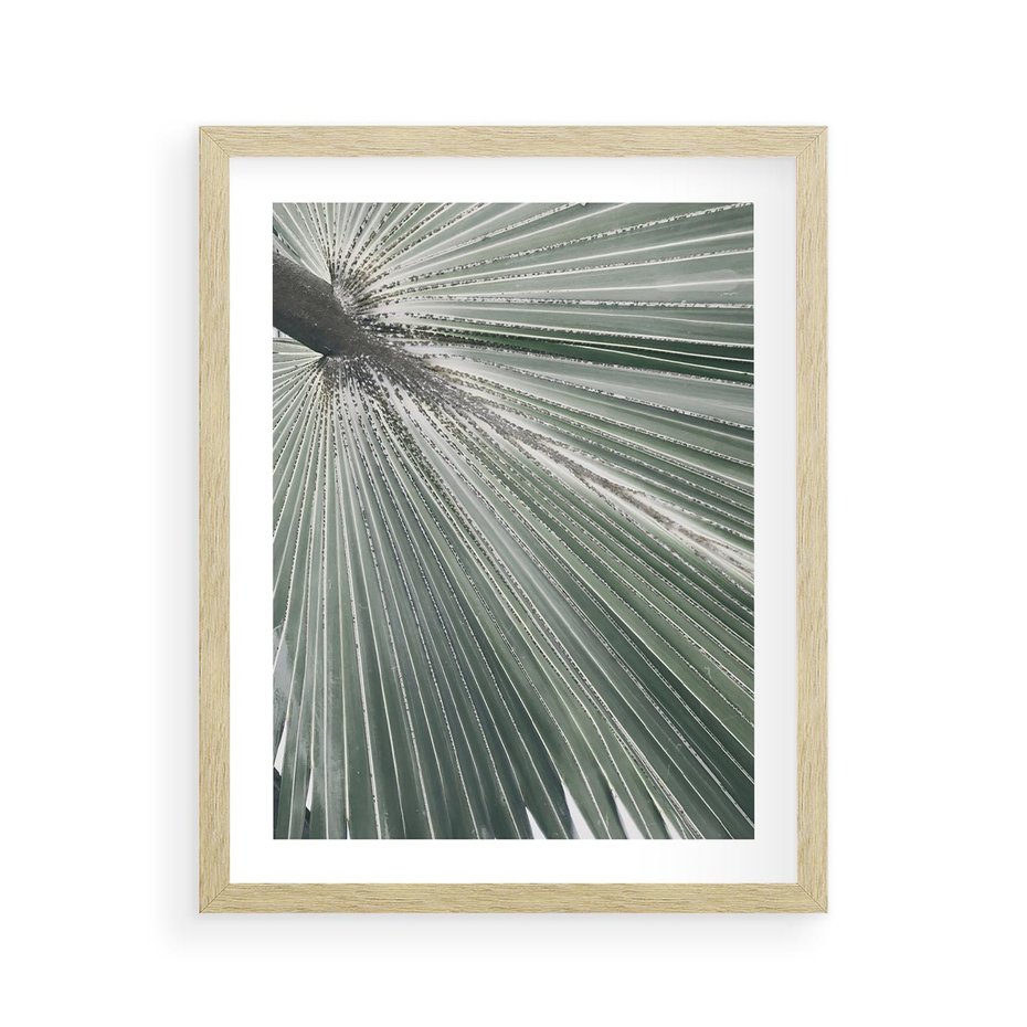 Plakat w ramie 40x50 - Jasnozielony Świat - palma, liść - rama drewno