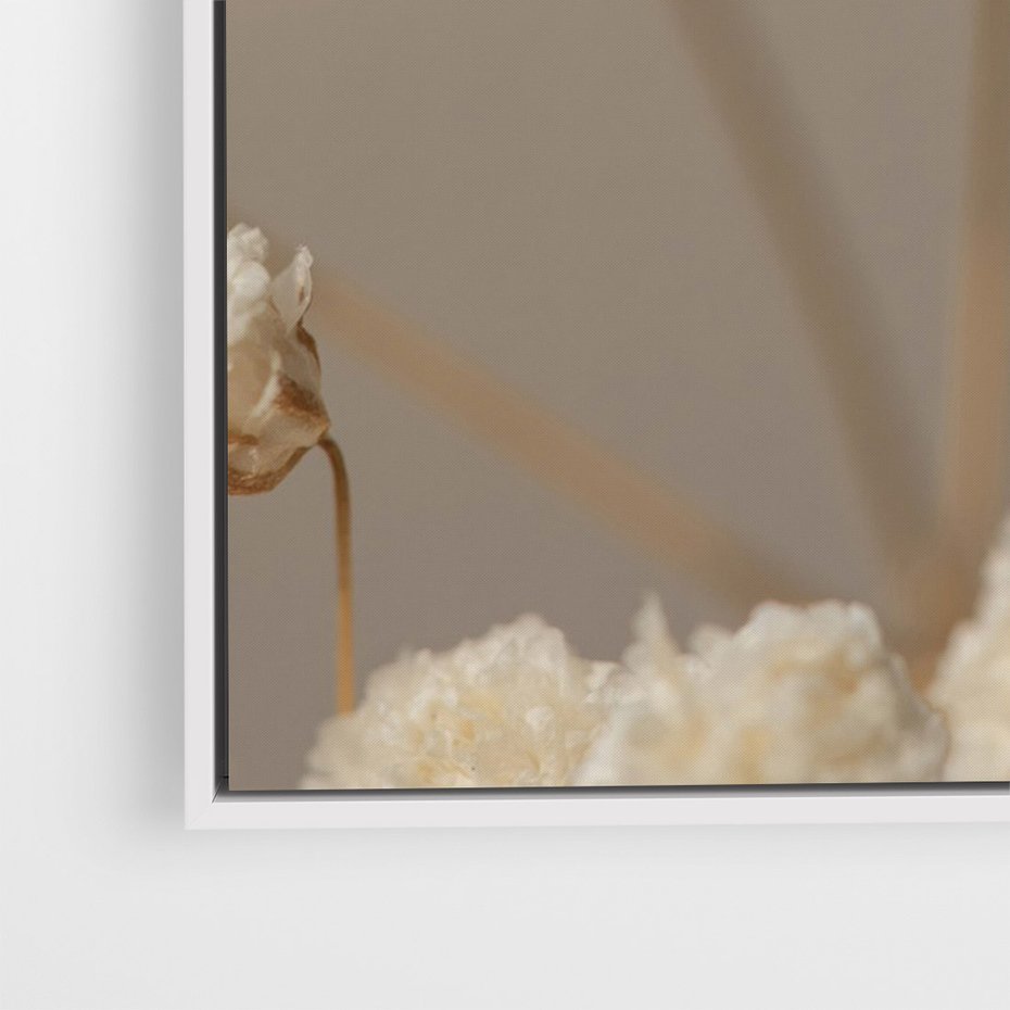 Obraz w ramie 70x100 - Subtelna gipsówka - gipsówka, suche - rama biała