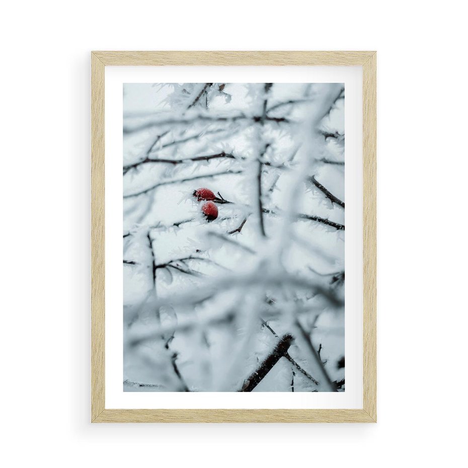 Plakat w ramie 50x70 - Zima w Detalu: Gałęzie ze Szronem i Śniegiem - śnieg, zima - rama drewno