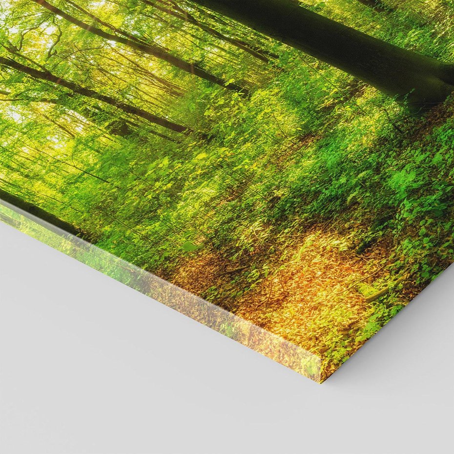 Obraz na płótnie 120x80 - Mistyfikujący las - las, drzewa