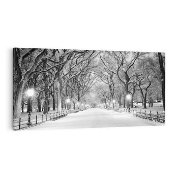 Obraz na płótnie 120x60 - cisza wśród drzew - zima, park