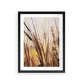 Plakat w ramie 30x40 - Malownicza Łąka z Trawam - trawy, łąka - rama czarna
