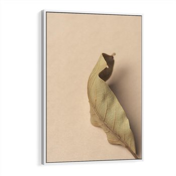 Obraz w ramie 80x120 - Boho suszone liście - suszony, liść - rama biała