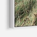 Obraz w ramie 80x120 - Harmonia Natury - widok z wydm, wydmy porośnięte trawami - rama biała