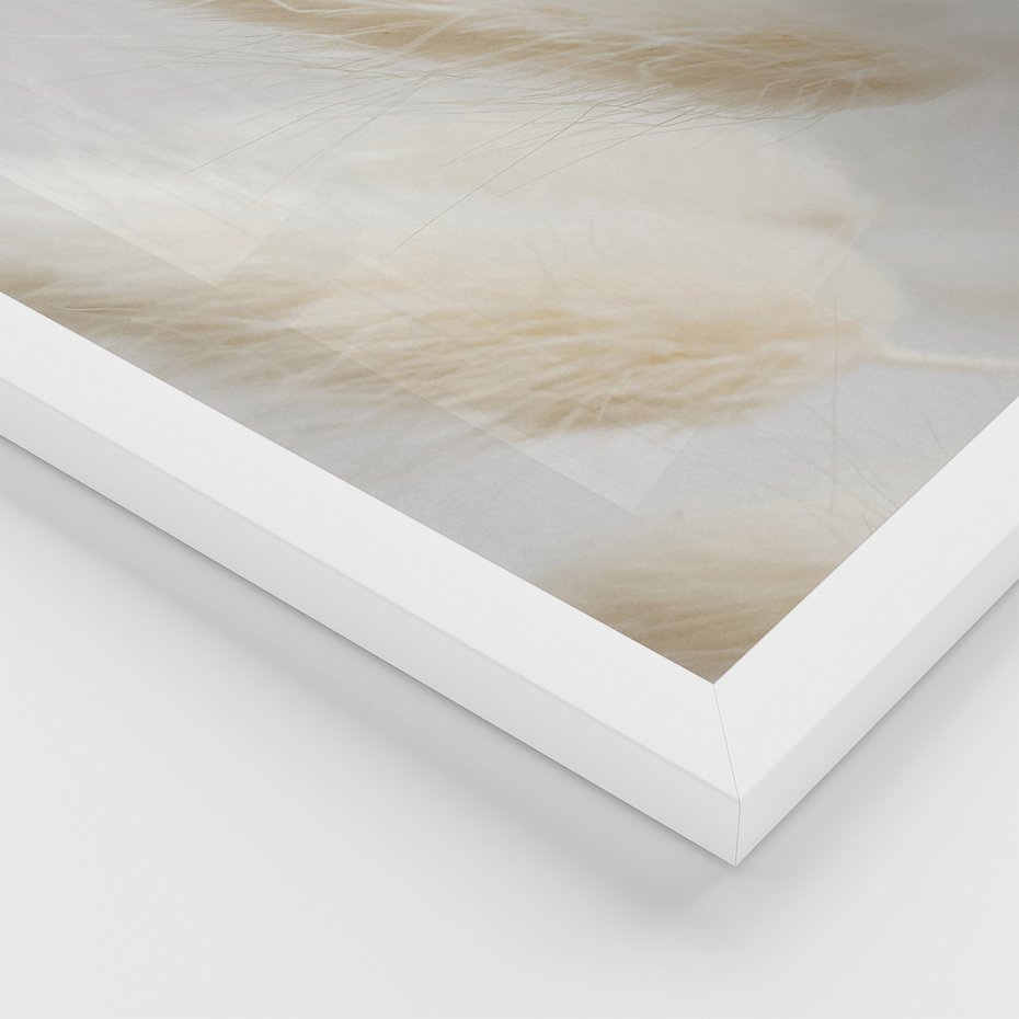 Zestaw obrazy w ramie 30x40 galeria - Suche, trawy, boho, pampas - rama biała